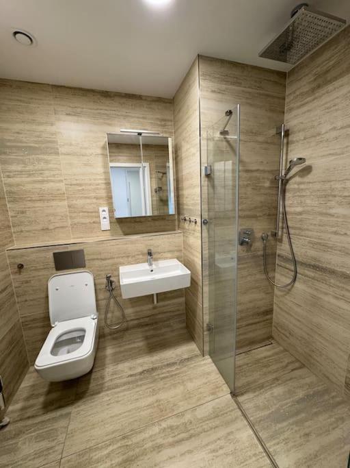 V Nove Rezidenci Apartment