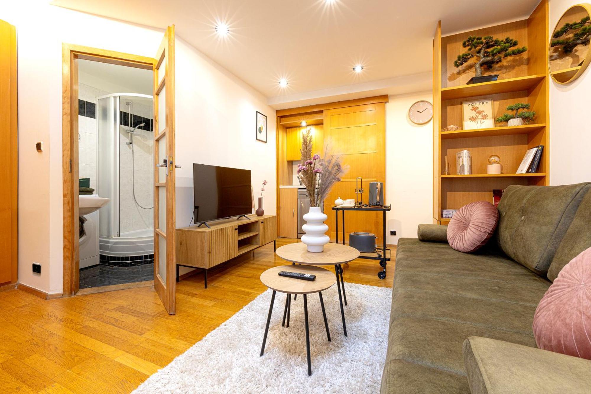 Apartment The Wenceslas Loft Prague