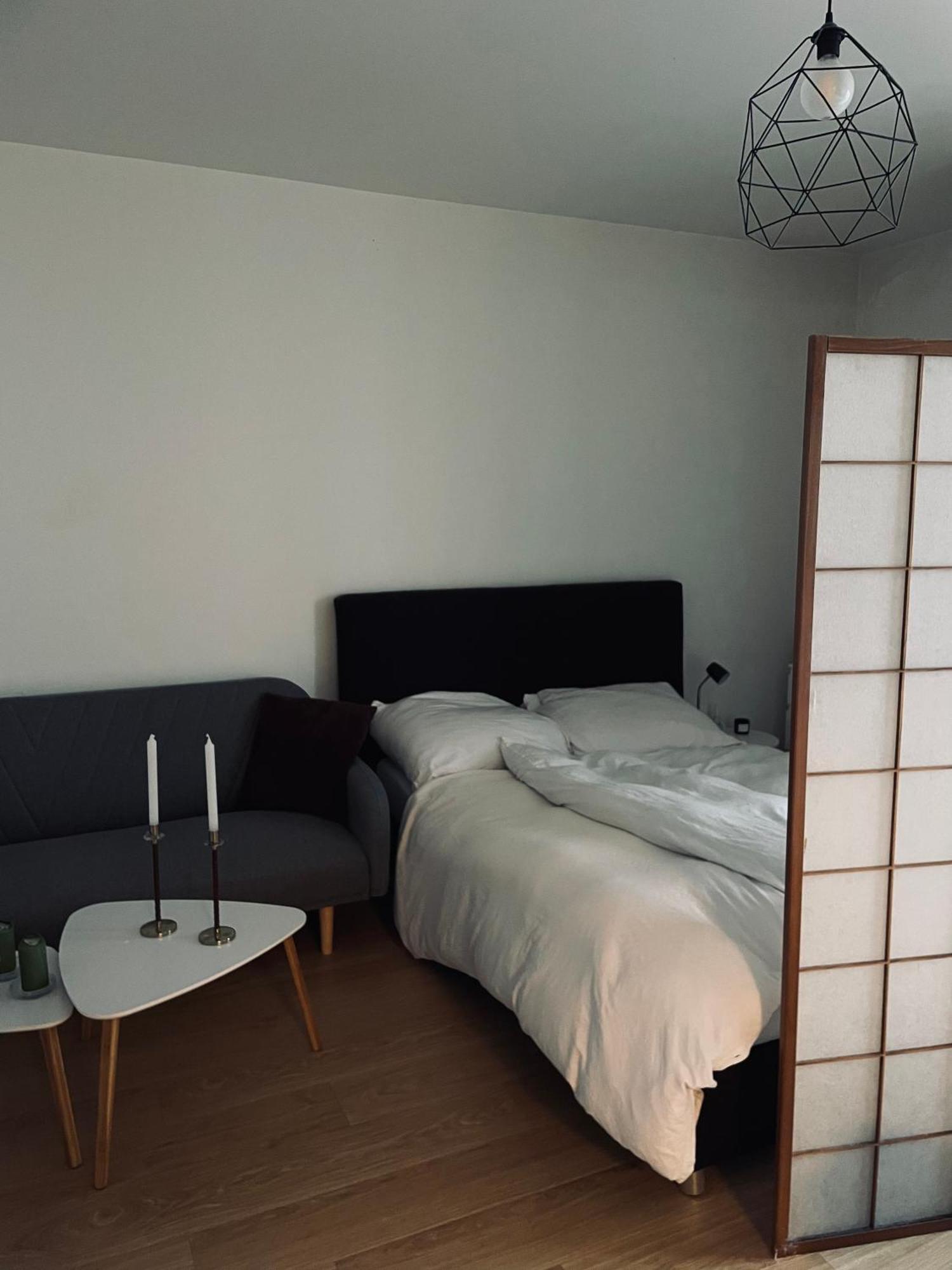 Cozy Apartment, Close To Center Of Beautiful Apartment Prague