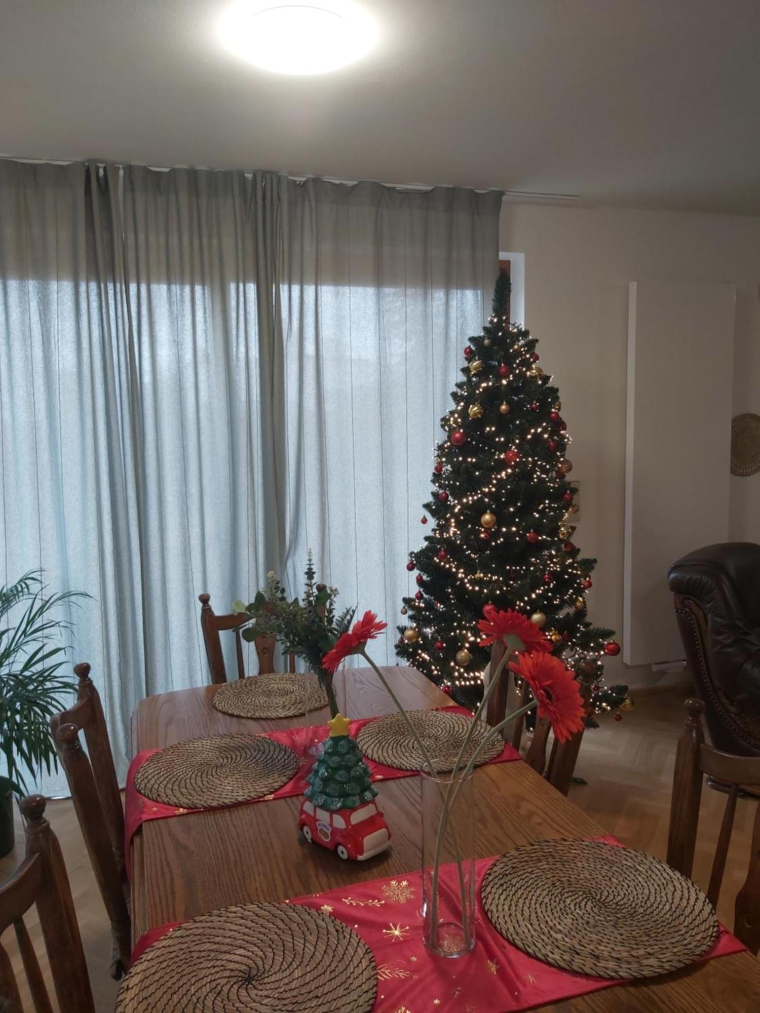 Familyvilla, New 4 Luxury Big Apartments, Parking Daire