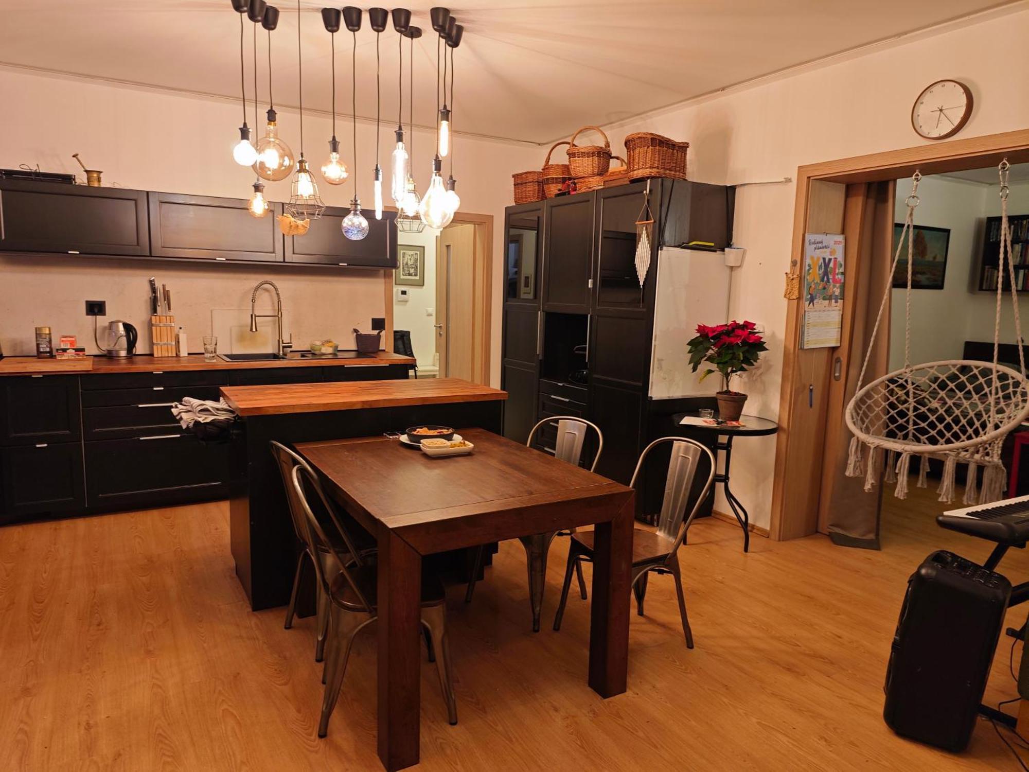 Apartment Sauna Zenklova 1, 4 Rooms, Terase, Garden, Sauna