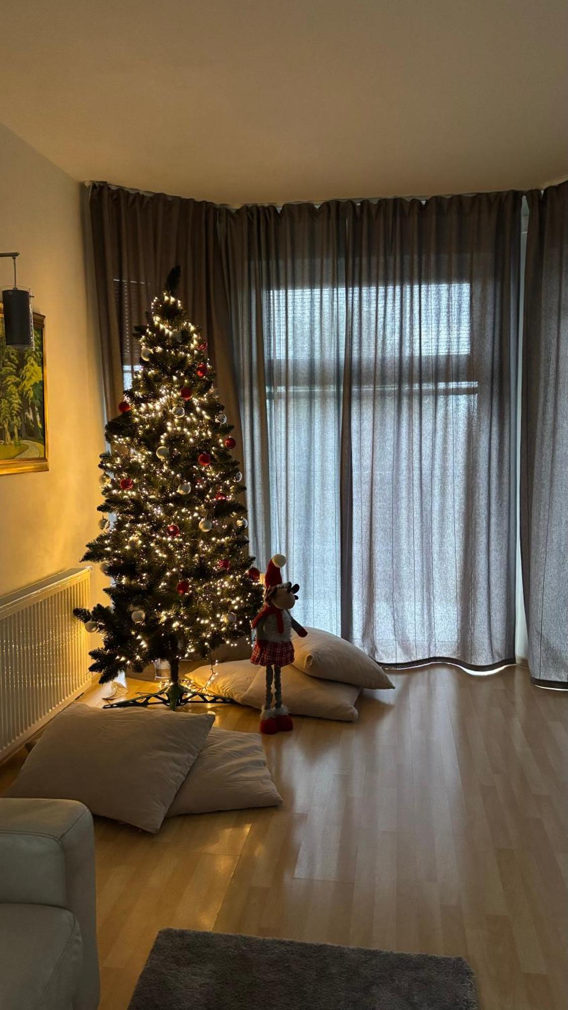 Diamondvilla, 4 Bedroom Apartment, Garden & Appartement *