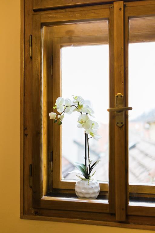 Apartamento U Krale Brabantskeho