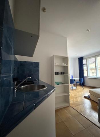 Old Town - Konviktska Appartement