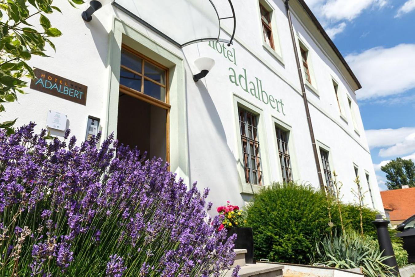Adalbert Ecohotel