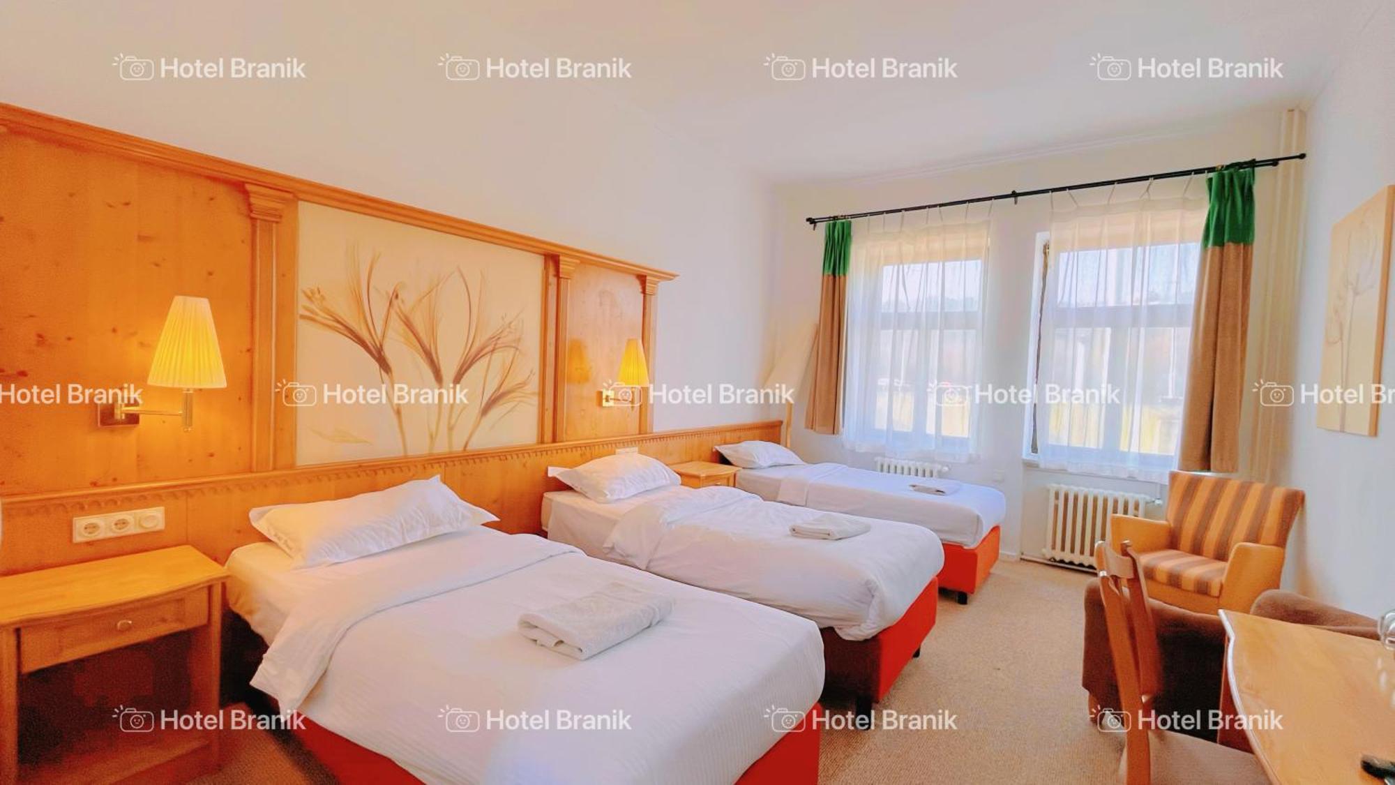 Branik Hotel 3*