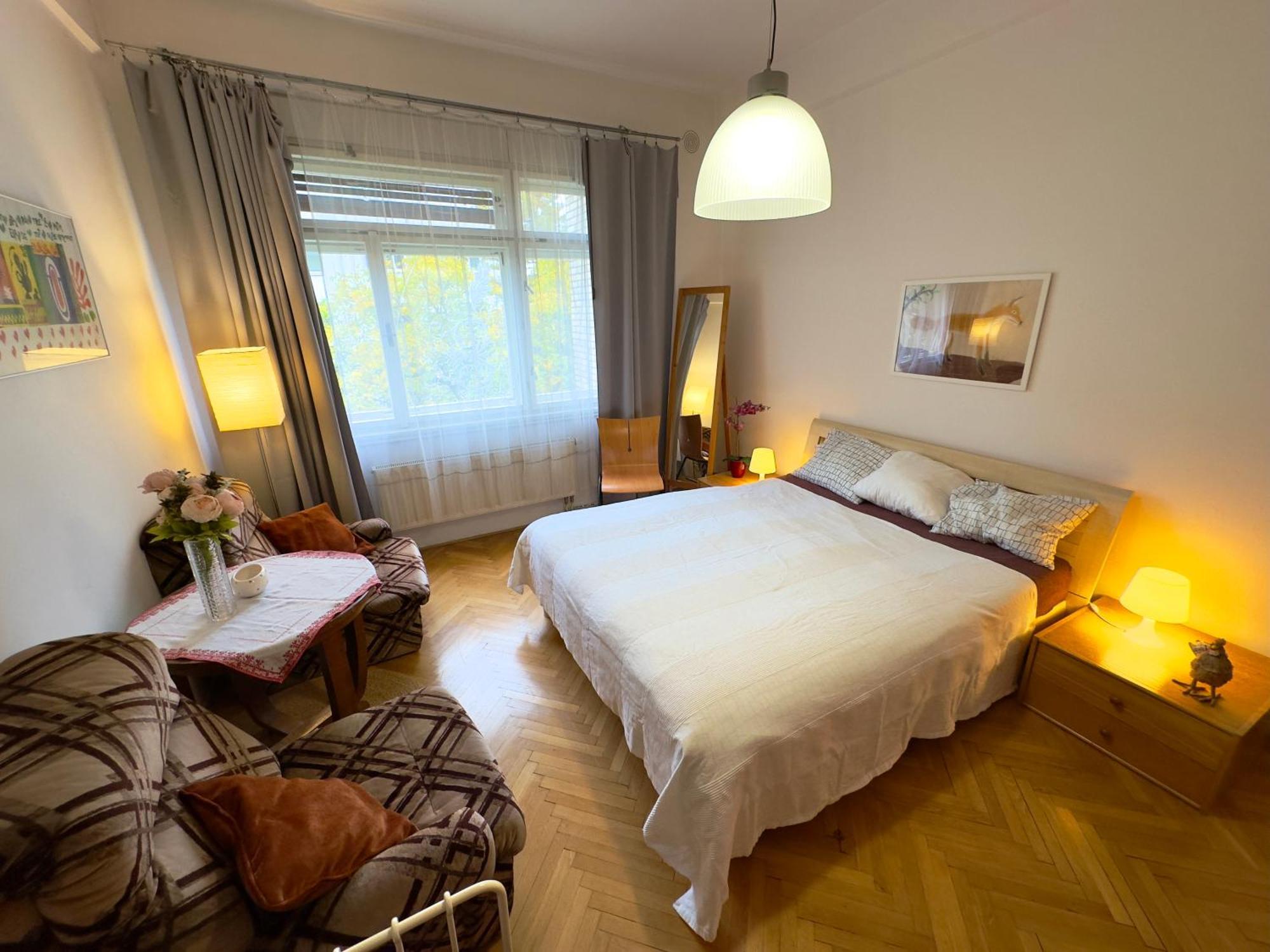 Sedlcanska - Will Save Money Here - Equipped With Antique Furniture Apartment *
