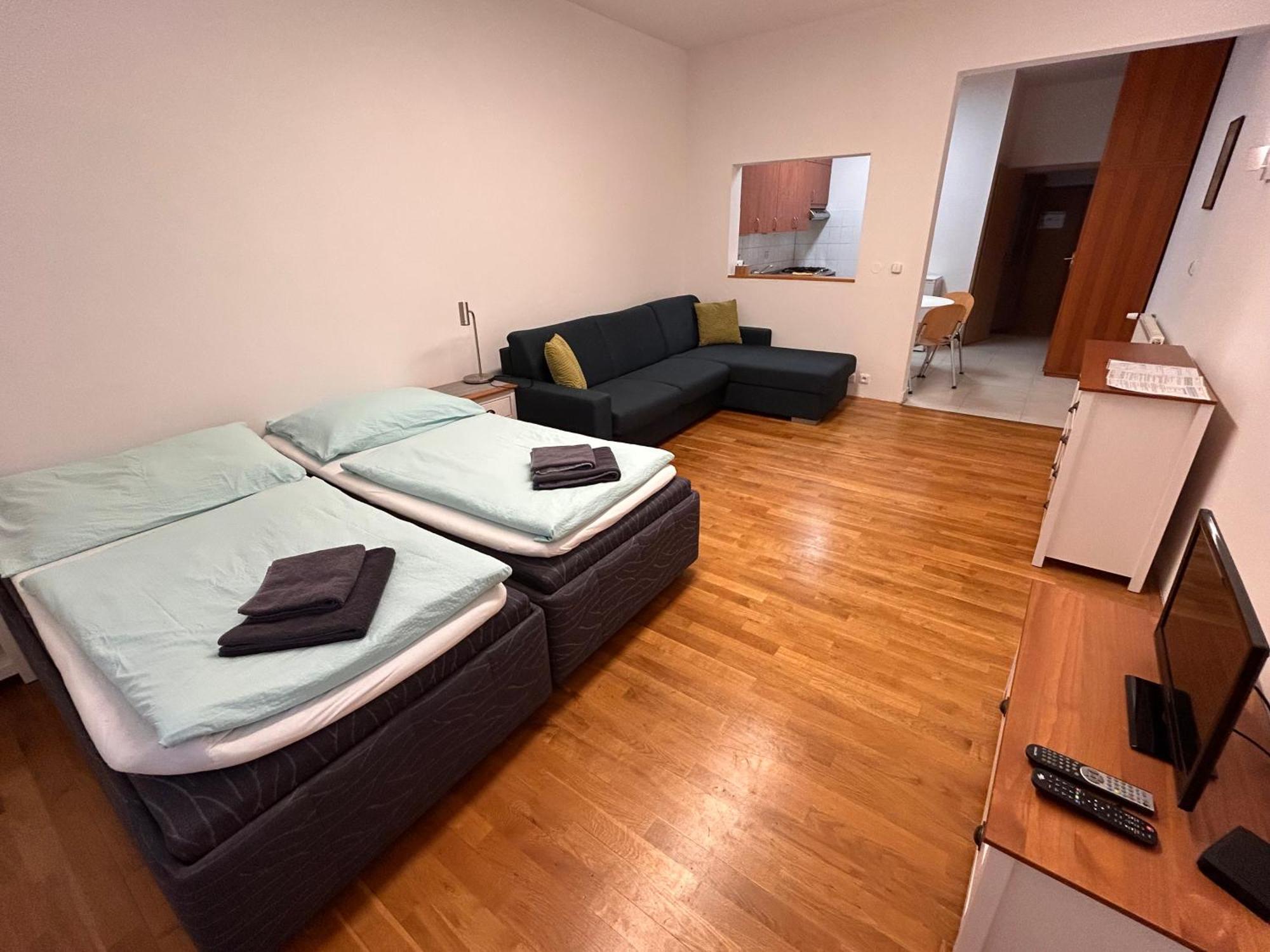 Apartment Karlin Prague