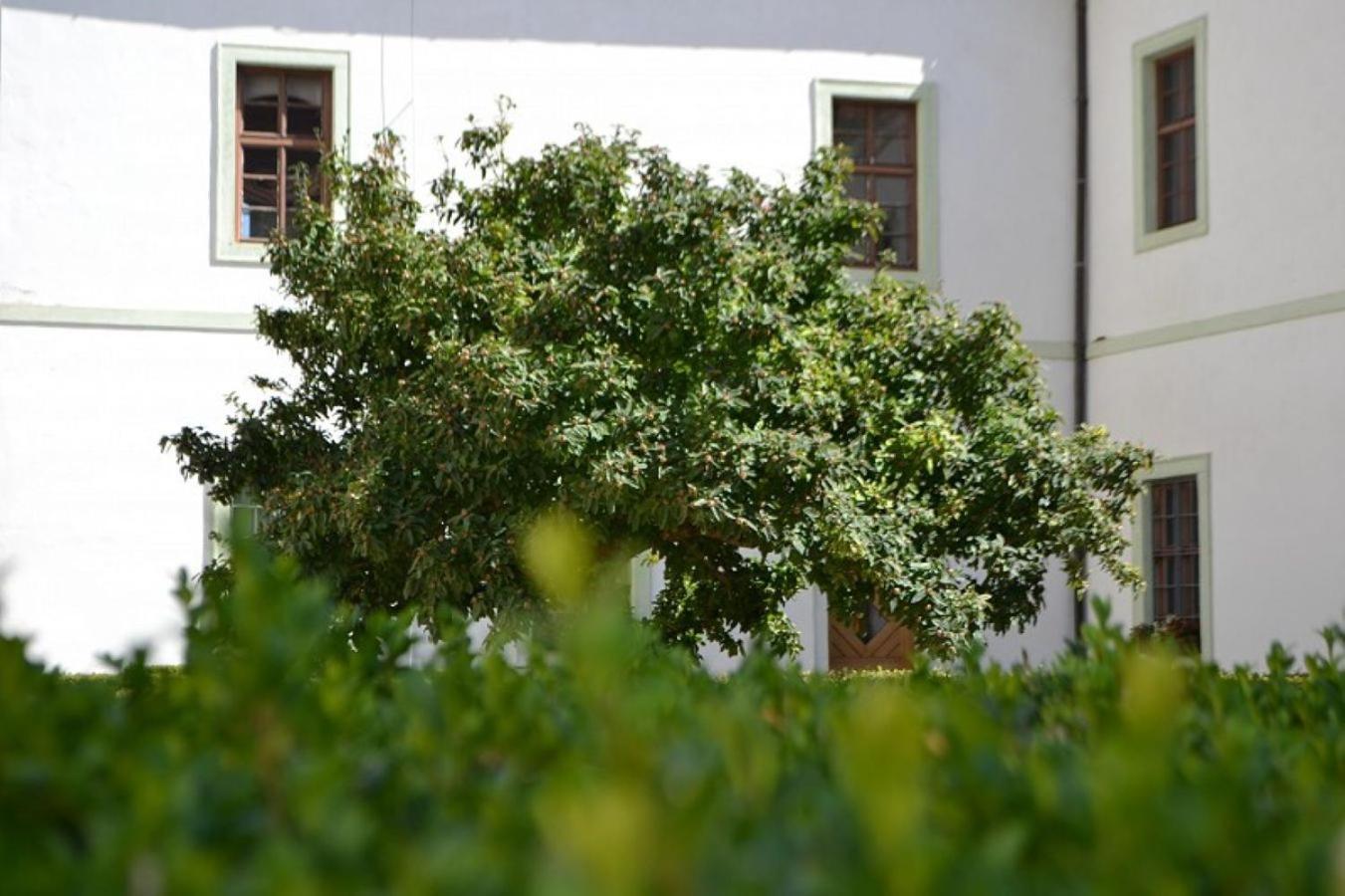 Adalbert Ecohotel