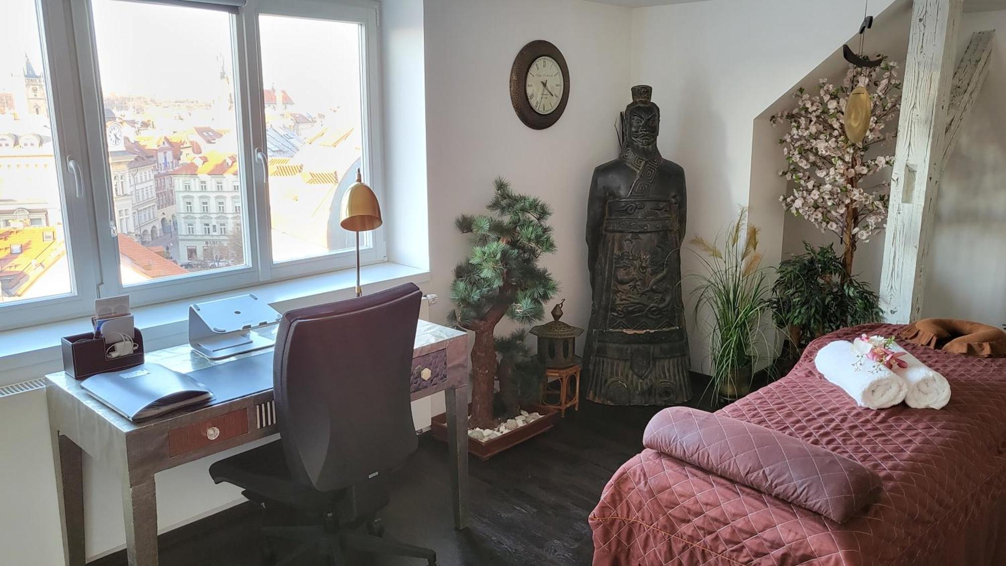 Luxury - View Of The Center Of Apartment Prague