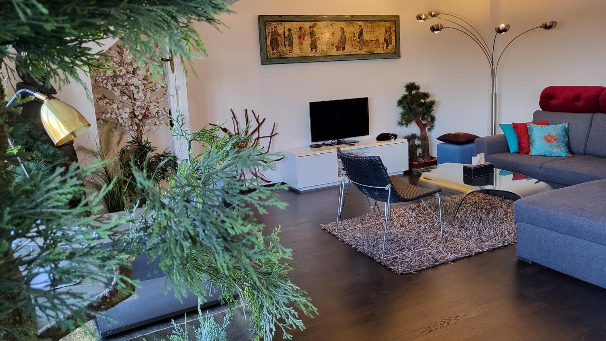 Luxury - View Of The Center Of Apartment Prague