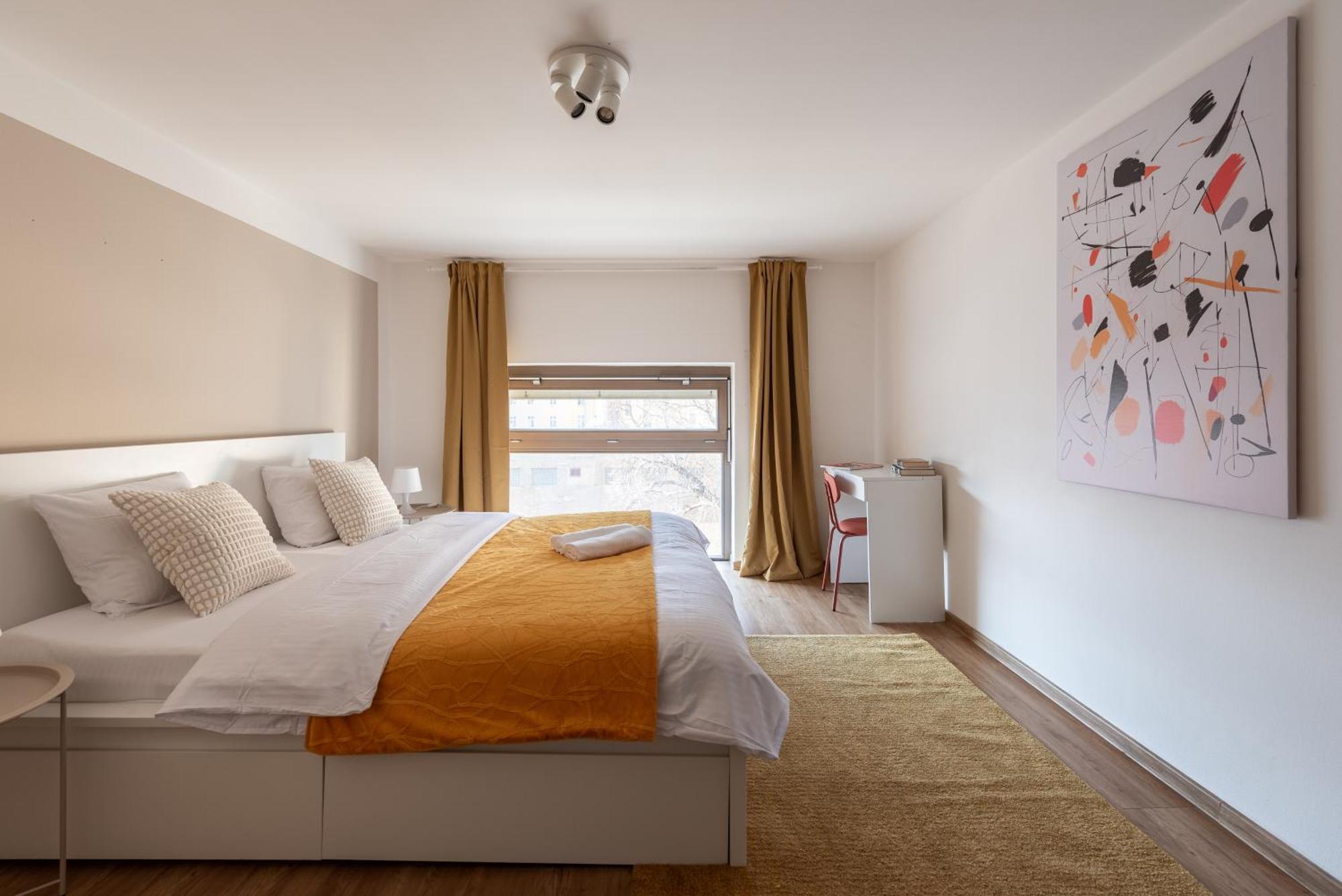 Spacious Near Karlin Square Prague