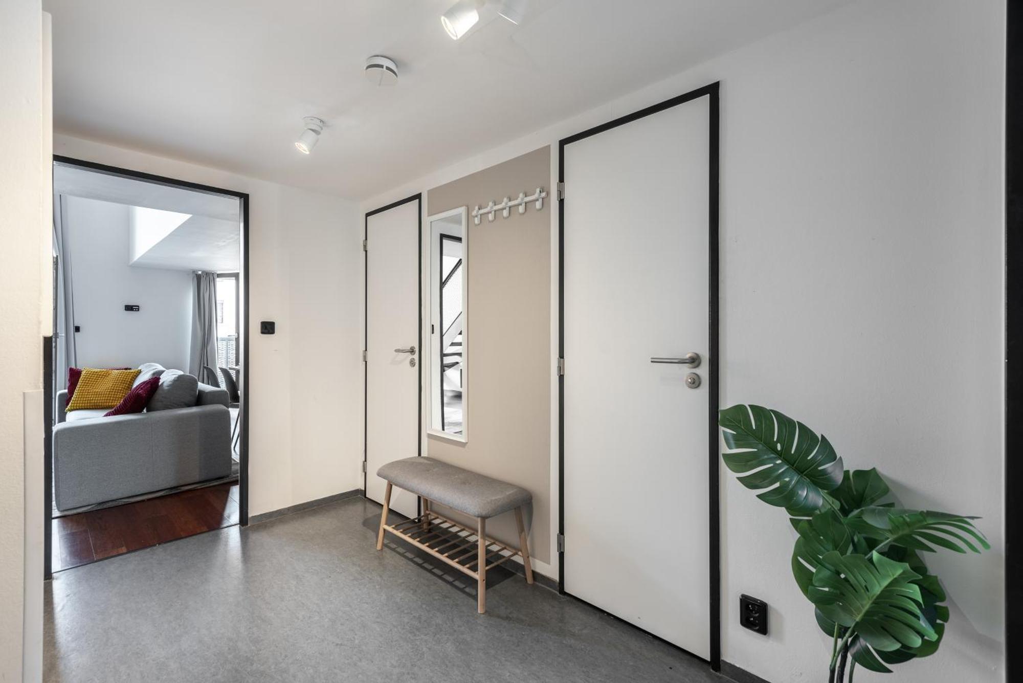 Spacious Near Karlin Square Prague