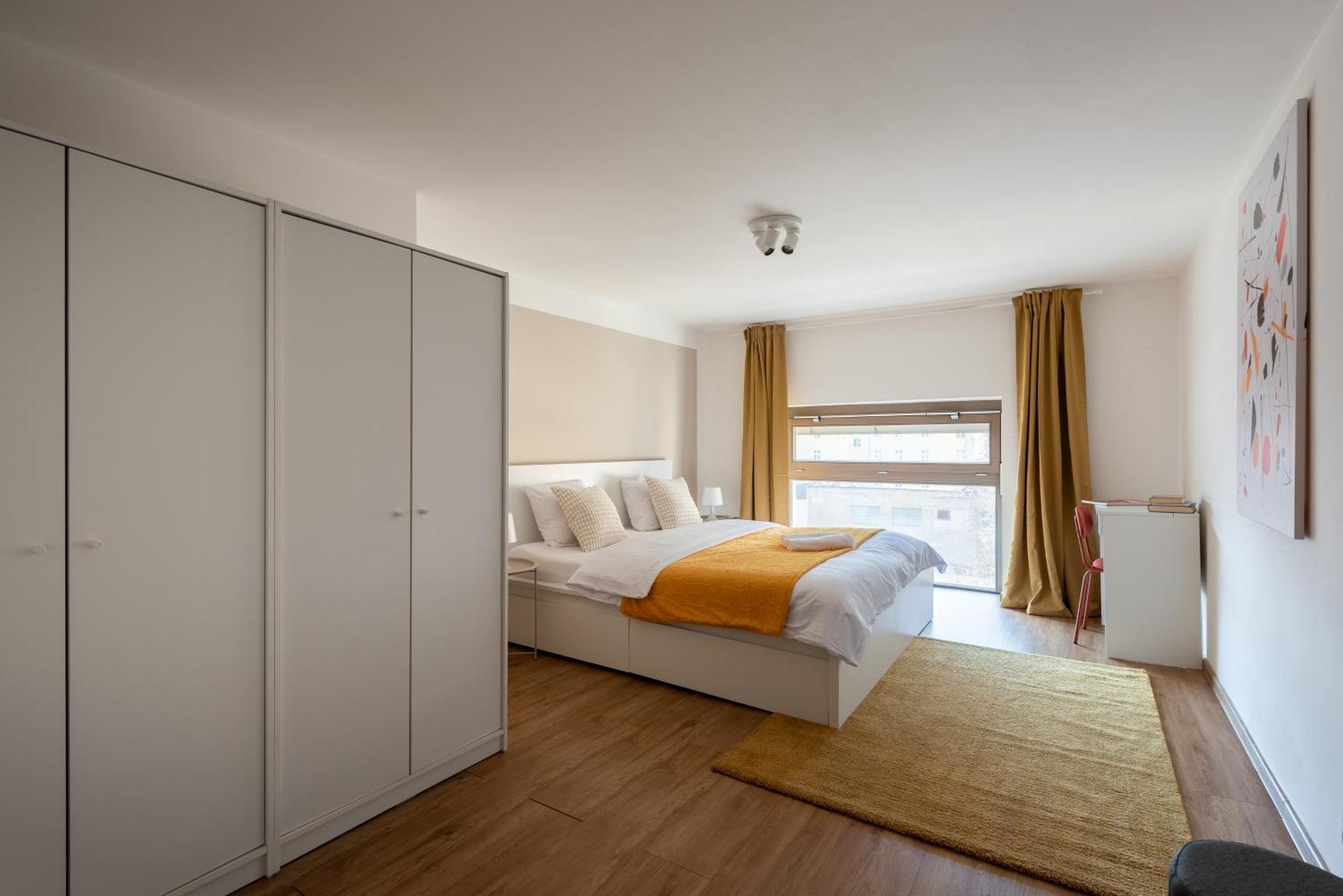Spacious Near Karlin Square * Prague
