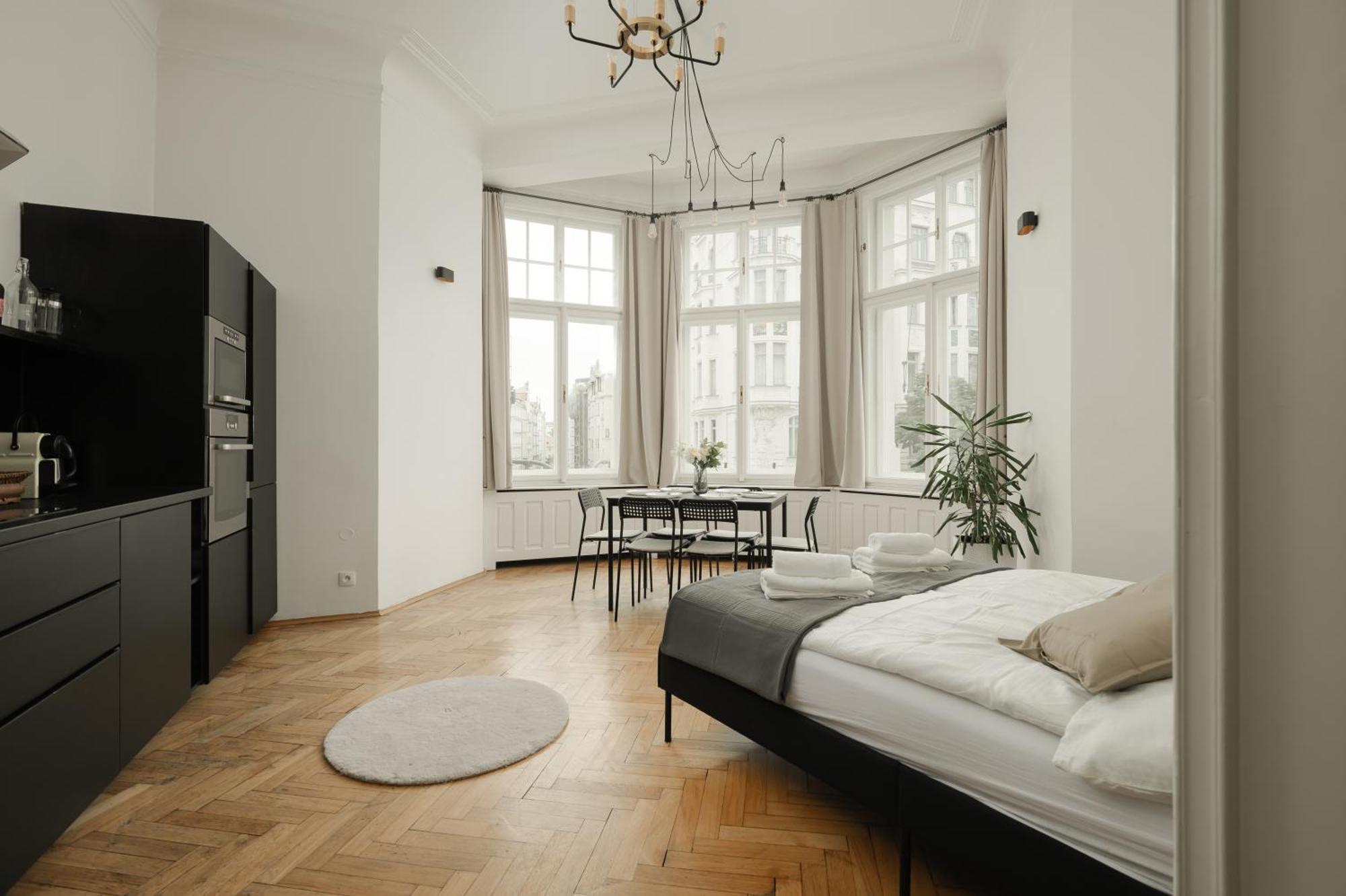 Apartment Parizska