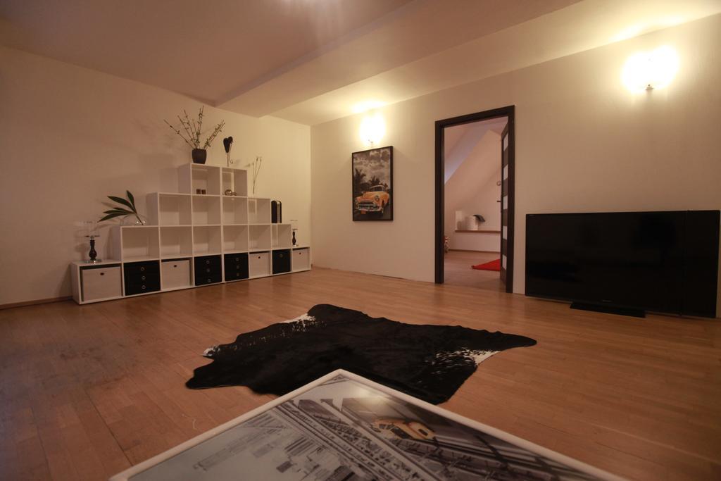 Gorazdova 11 Apartment