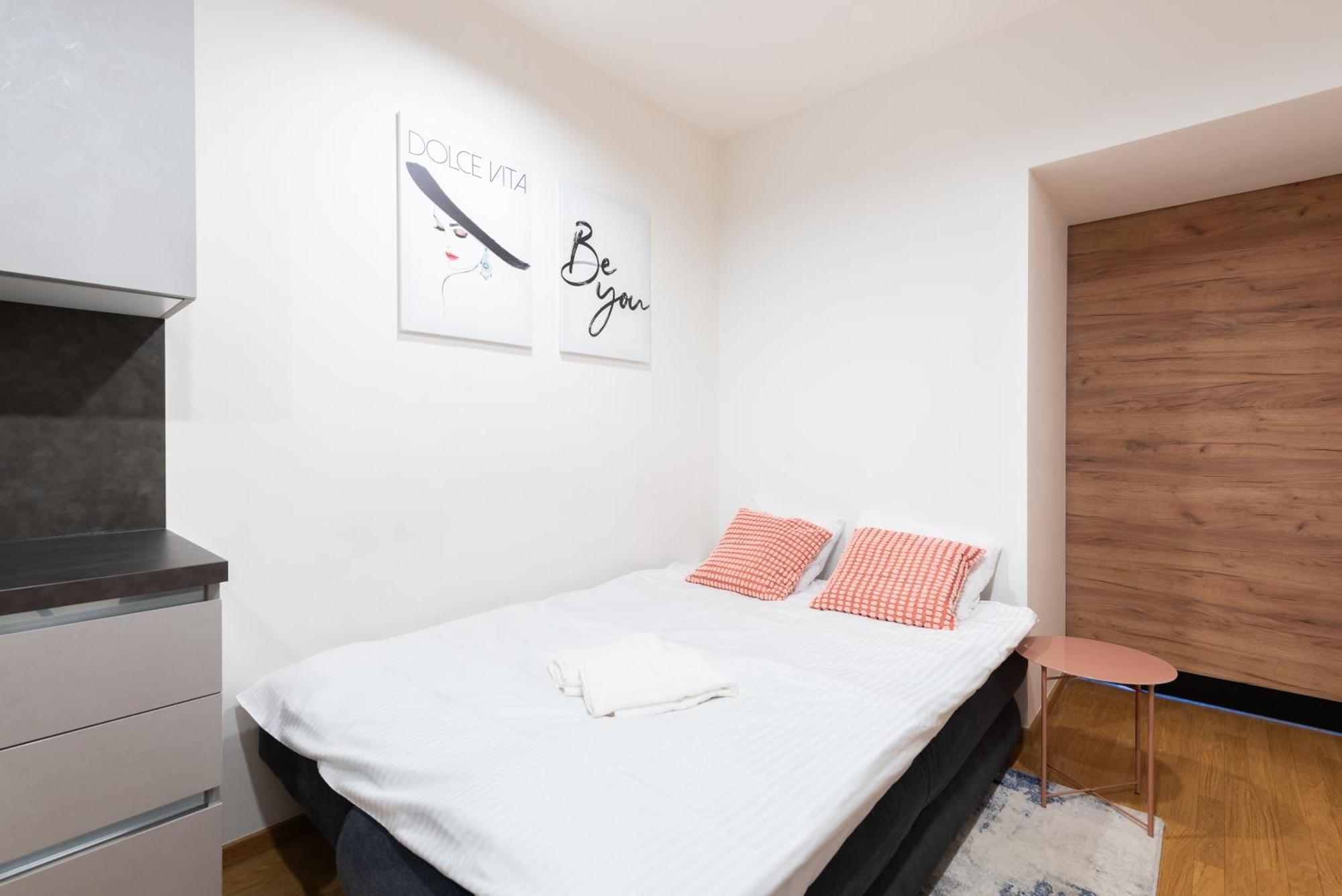 Spacious 3-bedrooms Near Karlin Square * Prague