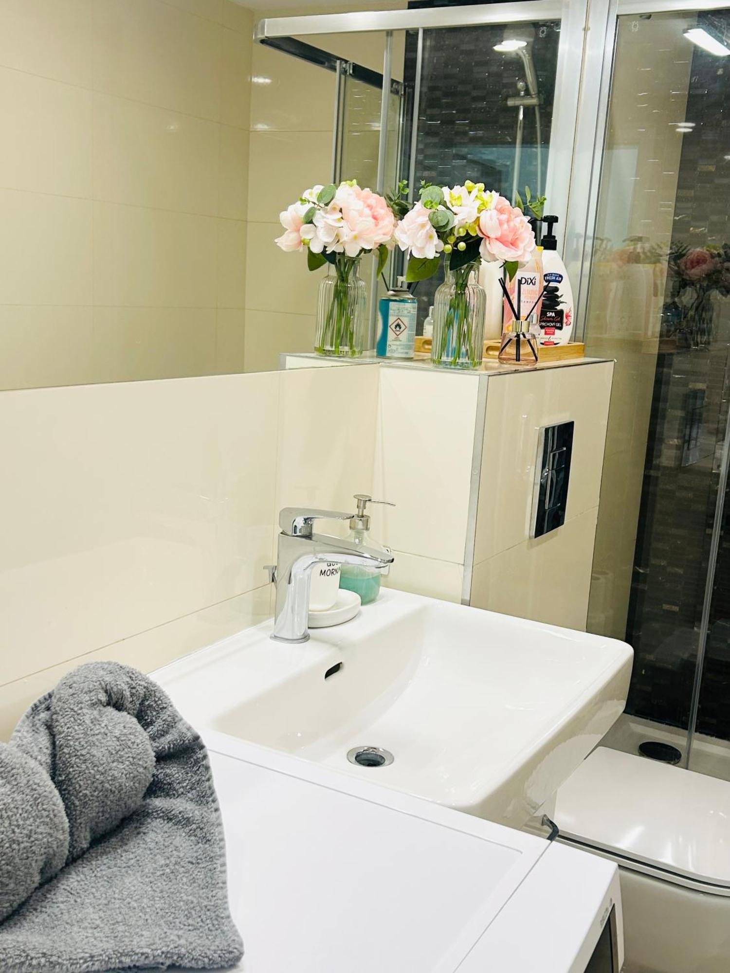 Apartment New Design & Style 50m From Wenceslas Square Prague