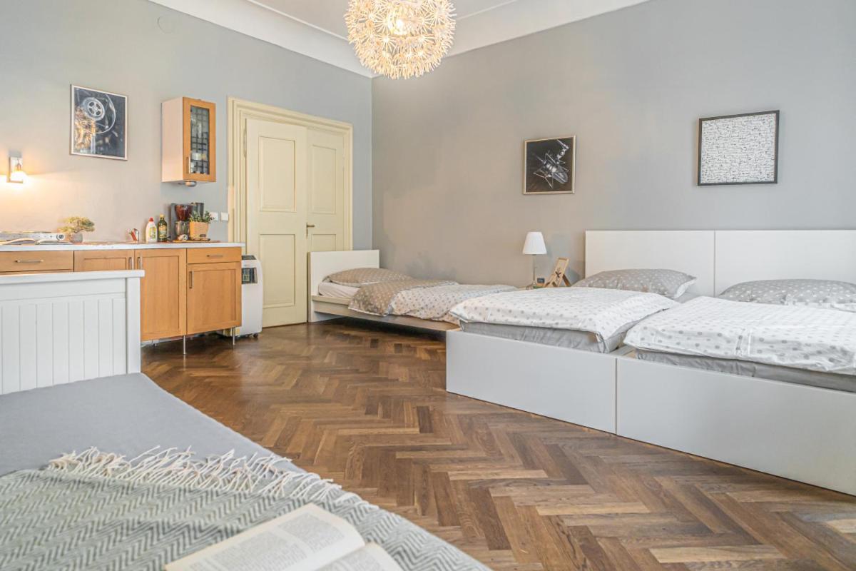 Karmelitska 2 Luxury 1b Daire