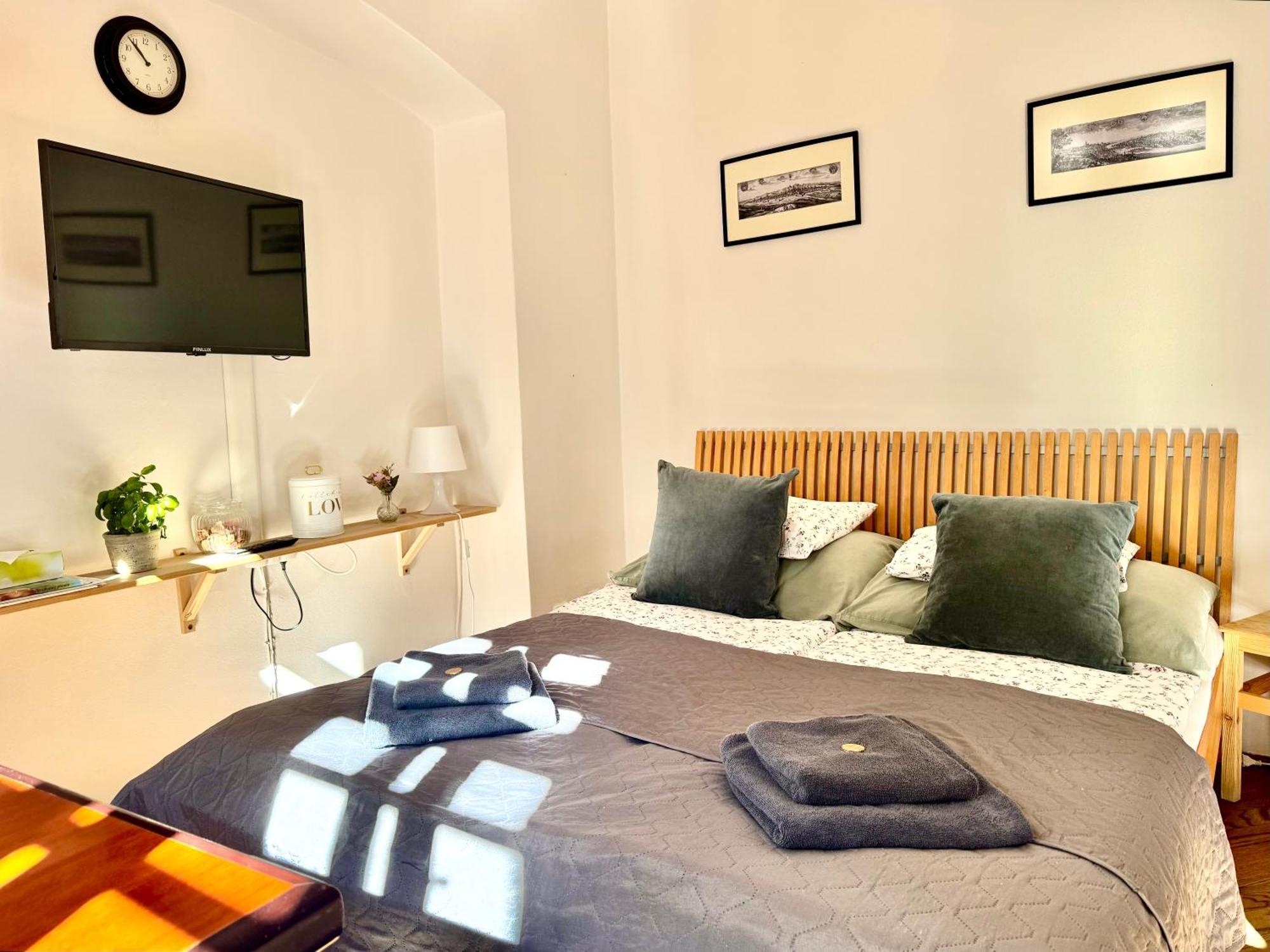 Apartment Nerudova 36 *