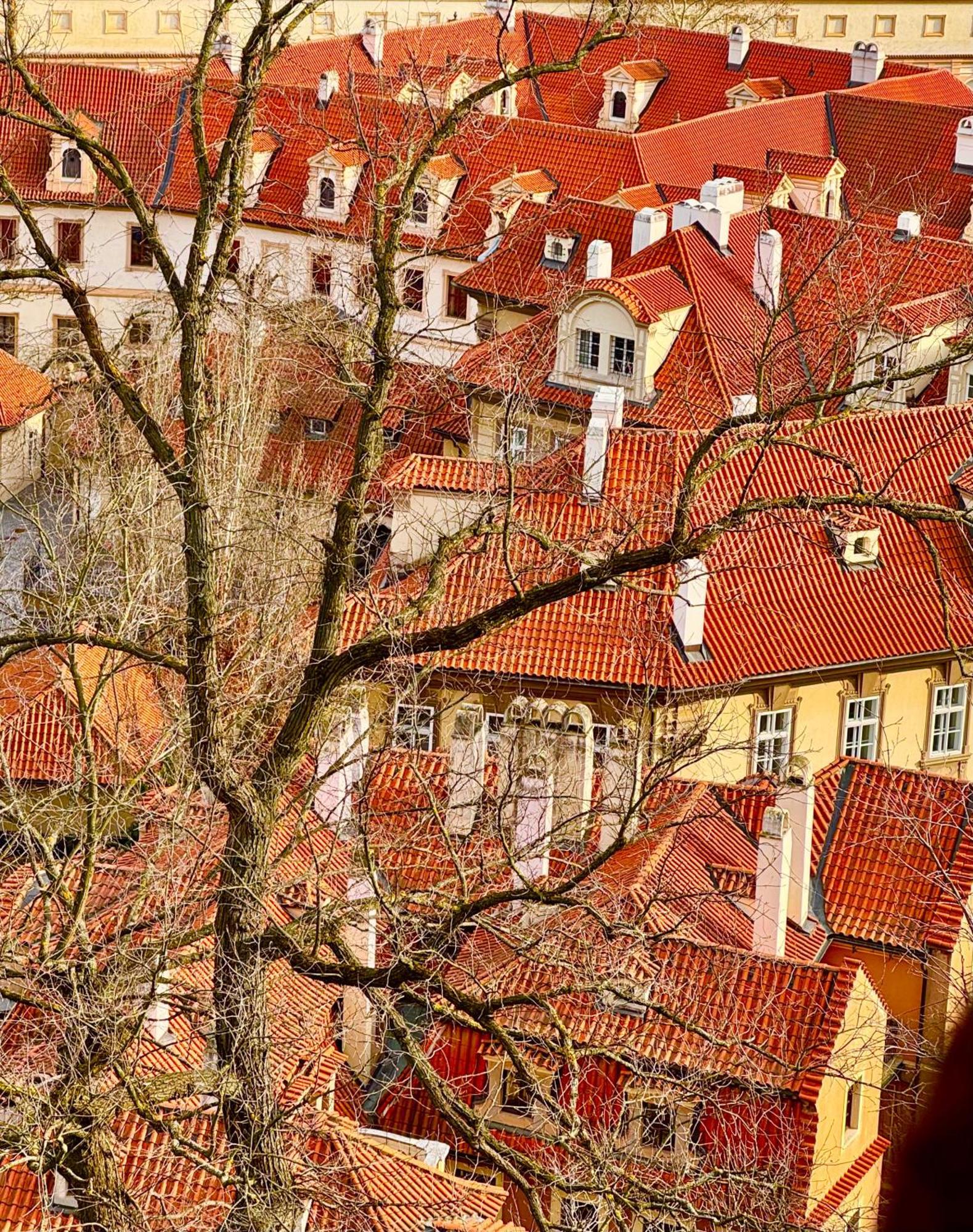 Nerudova 36 Apartment Prague