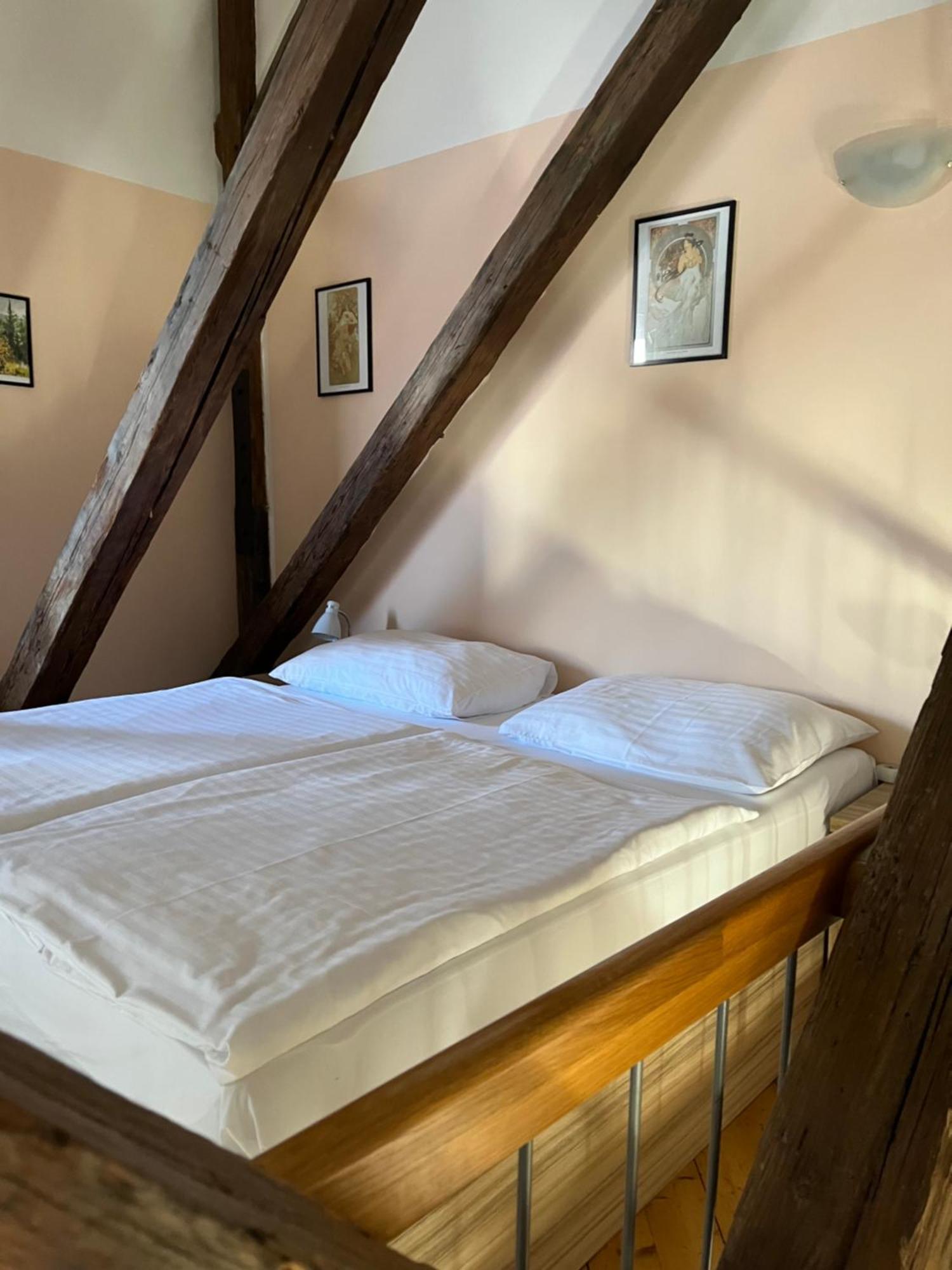 Apartment U Vejvodu *
