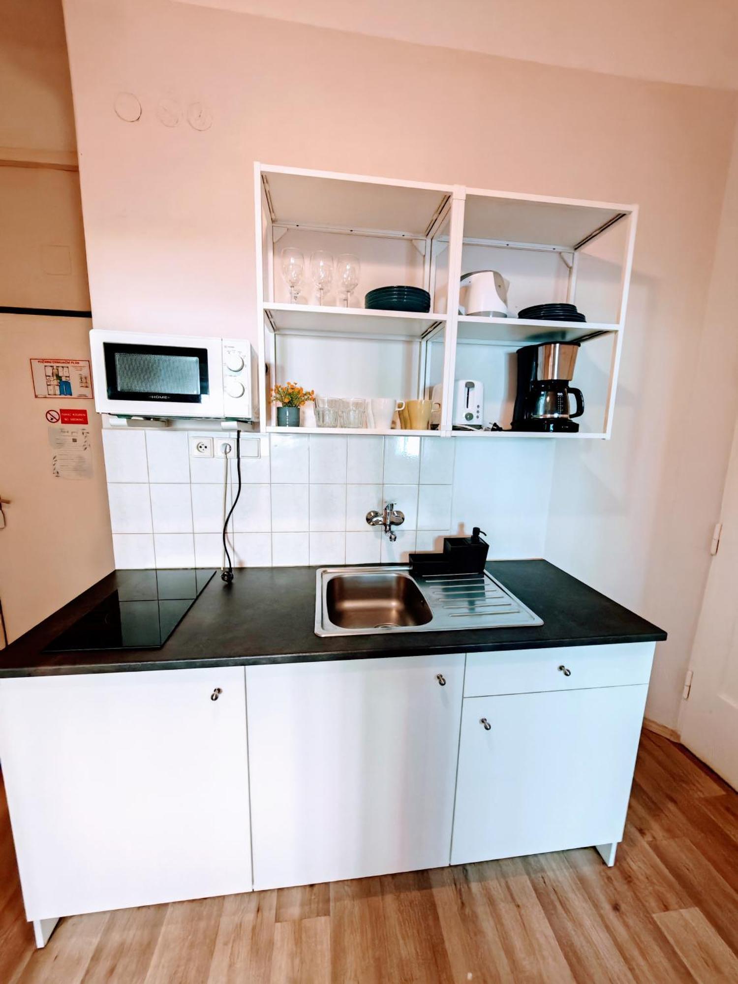 Flat In Zizkov -102- * Praga