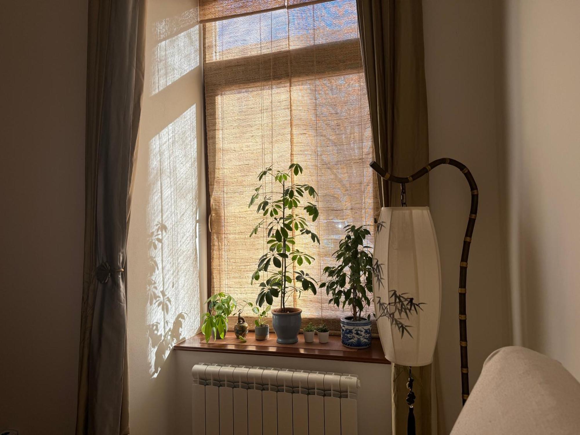 Apartment Bamboo *