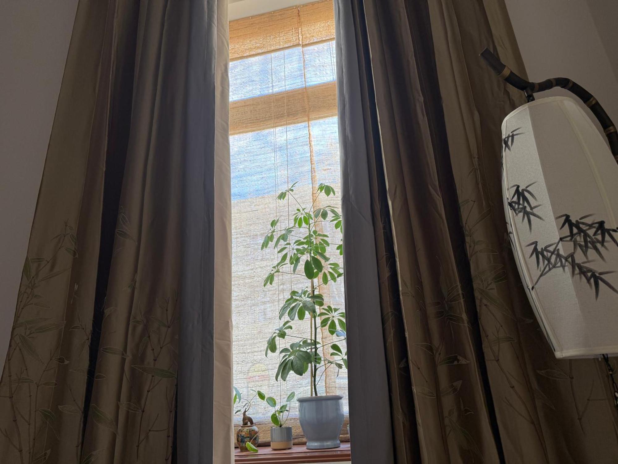 Bamboo Apartment Prague