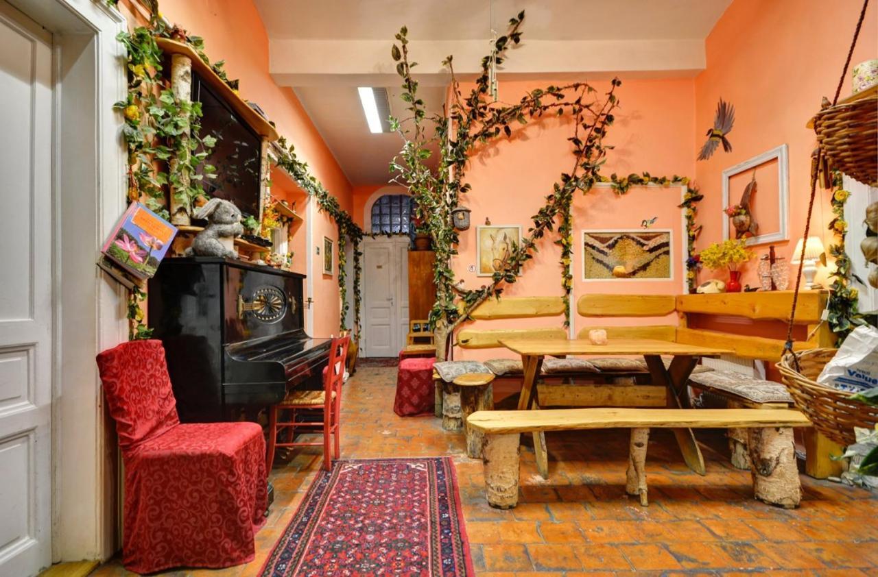 Artharmony & Auberge de jeunesse *