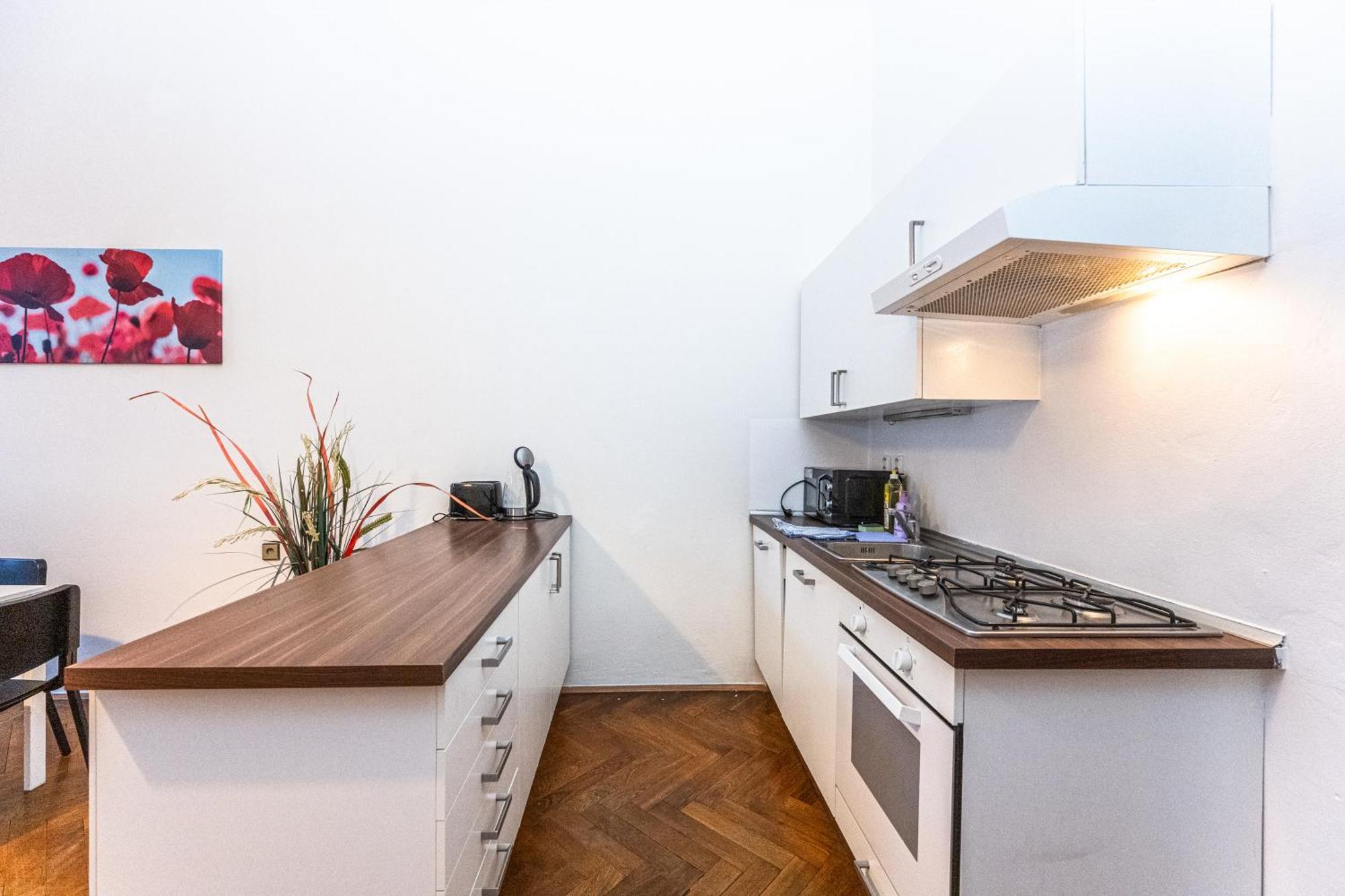 Legerova Apartment *