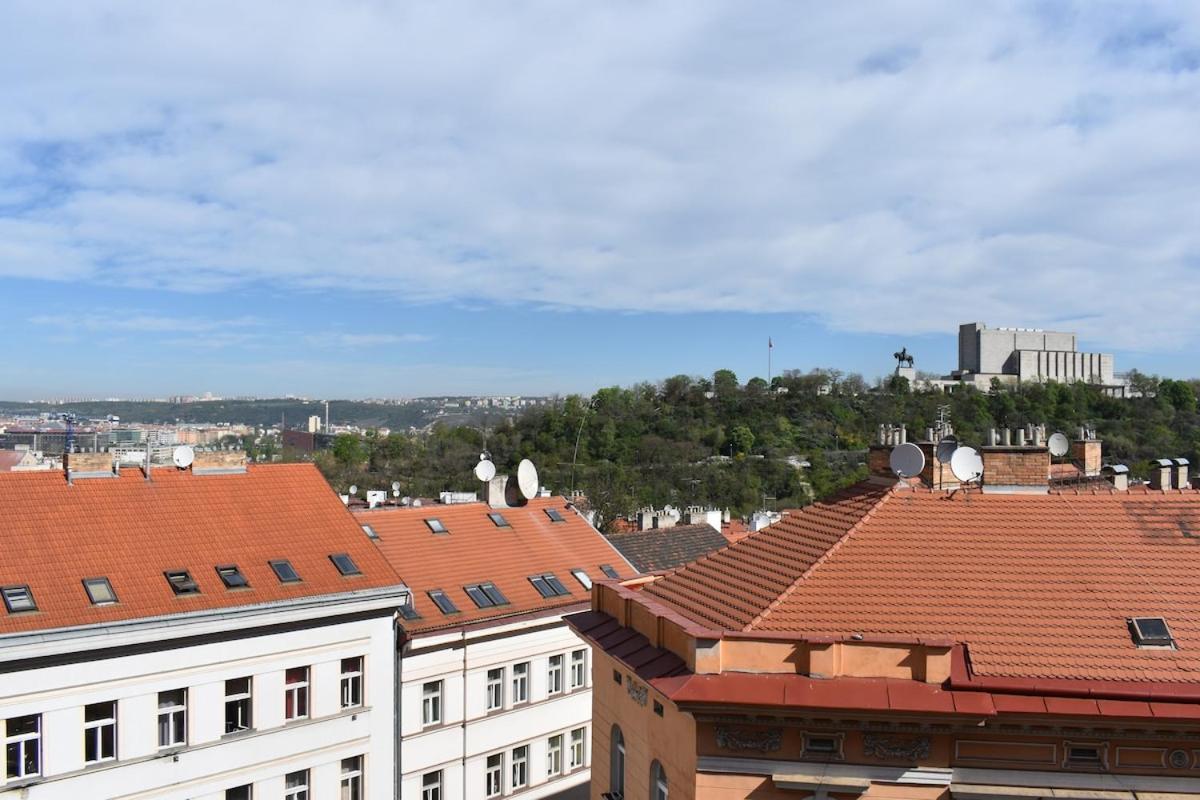 Amazing In Center For Great Price Apartment