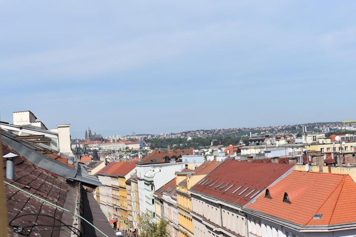 Amazing In Center For Great Price Apartment *