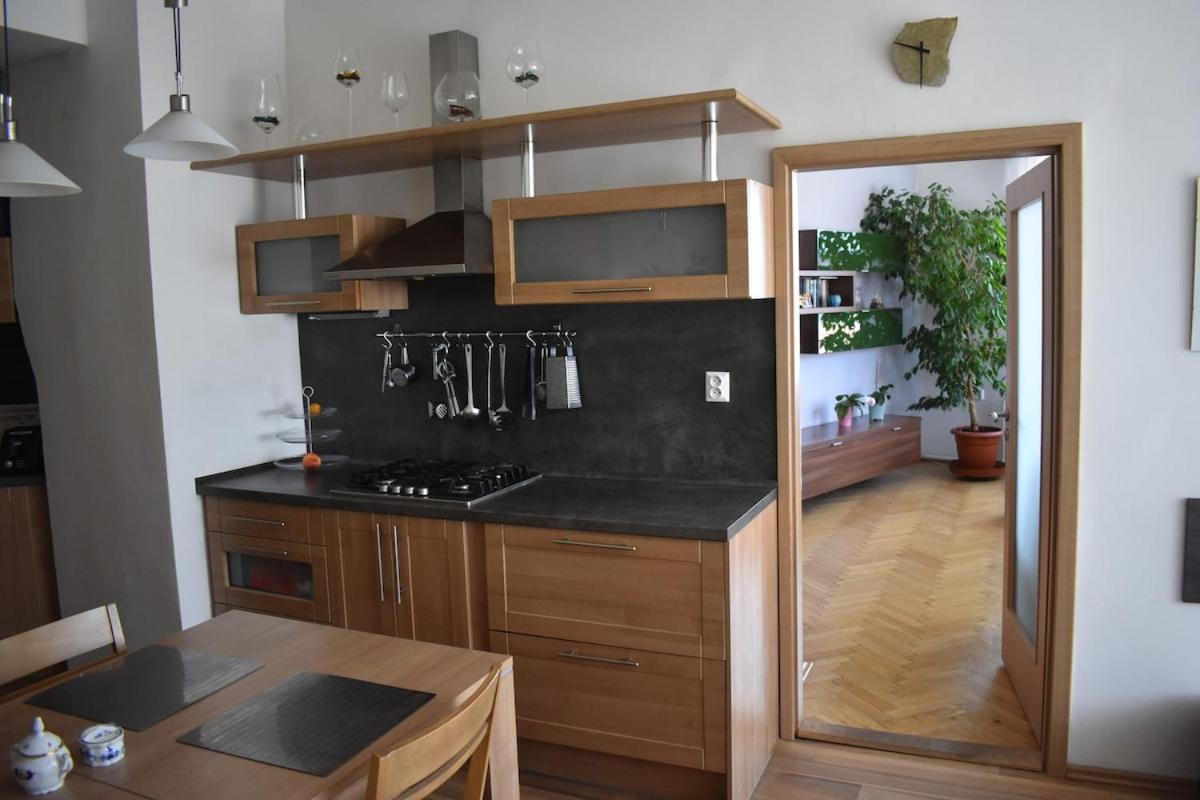 Amazing In Center For Great Price Apartment Prag