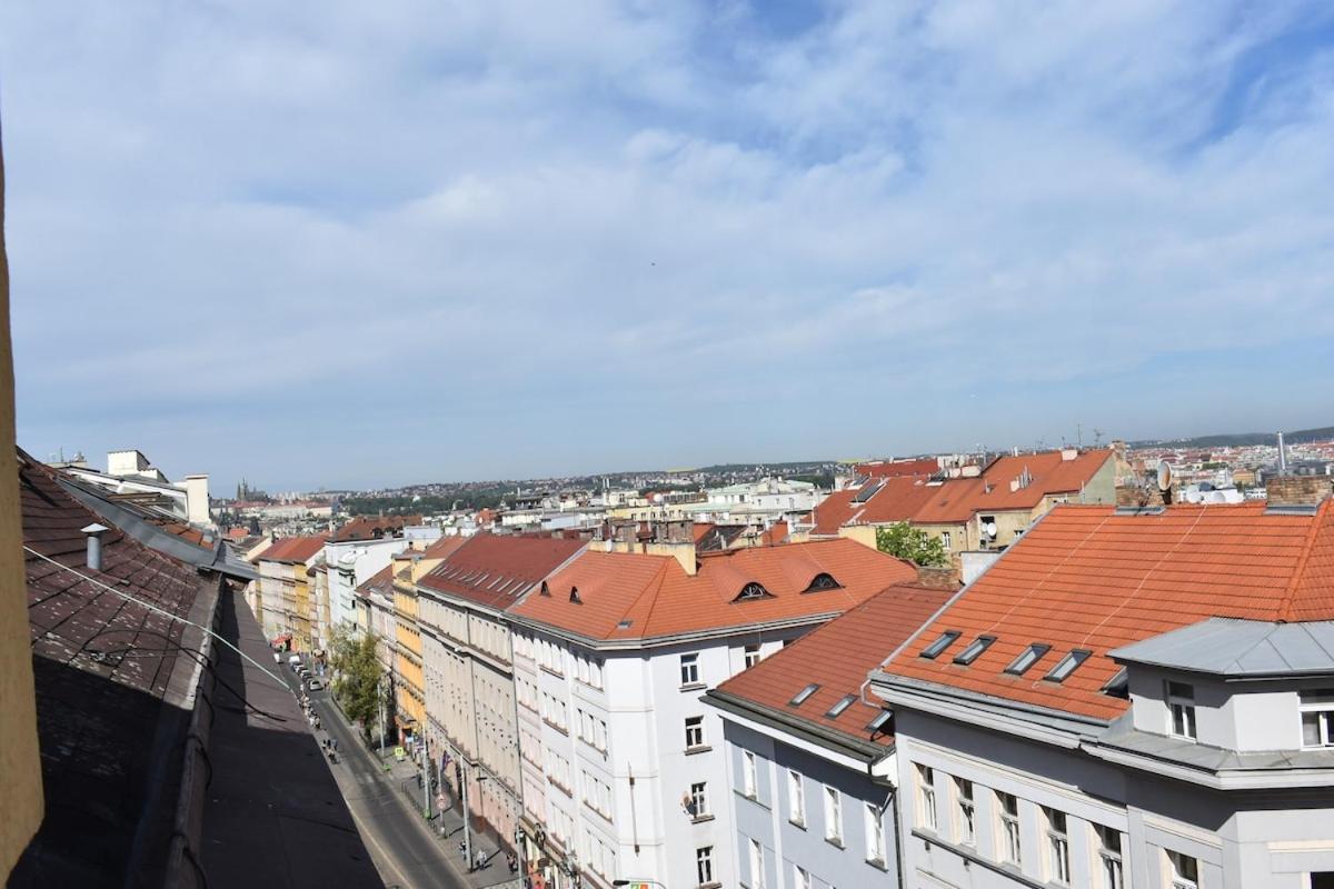 Amazing In Center For Great Price Apartment