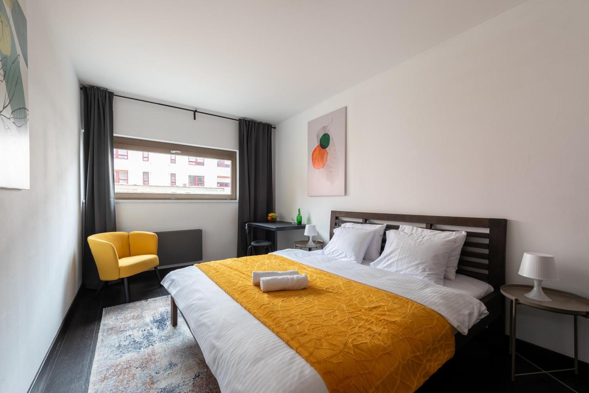 Spacious Near Karlin Square Prague
