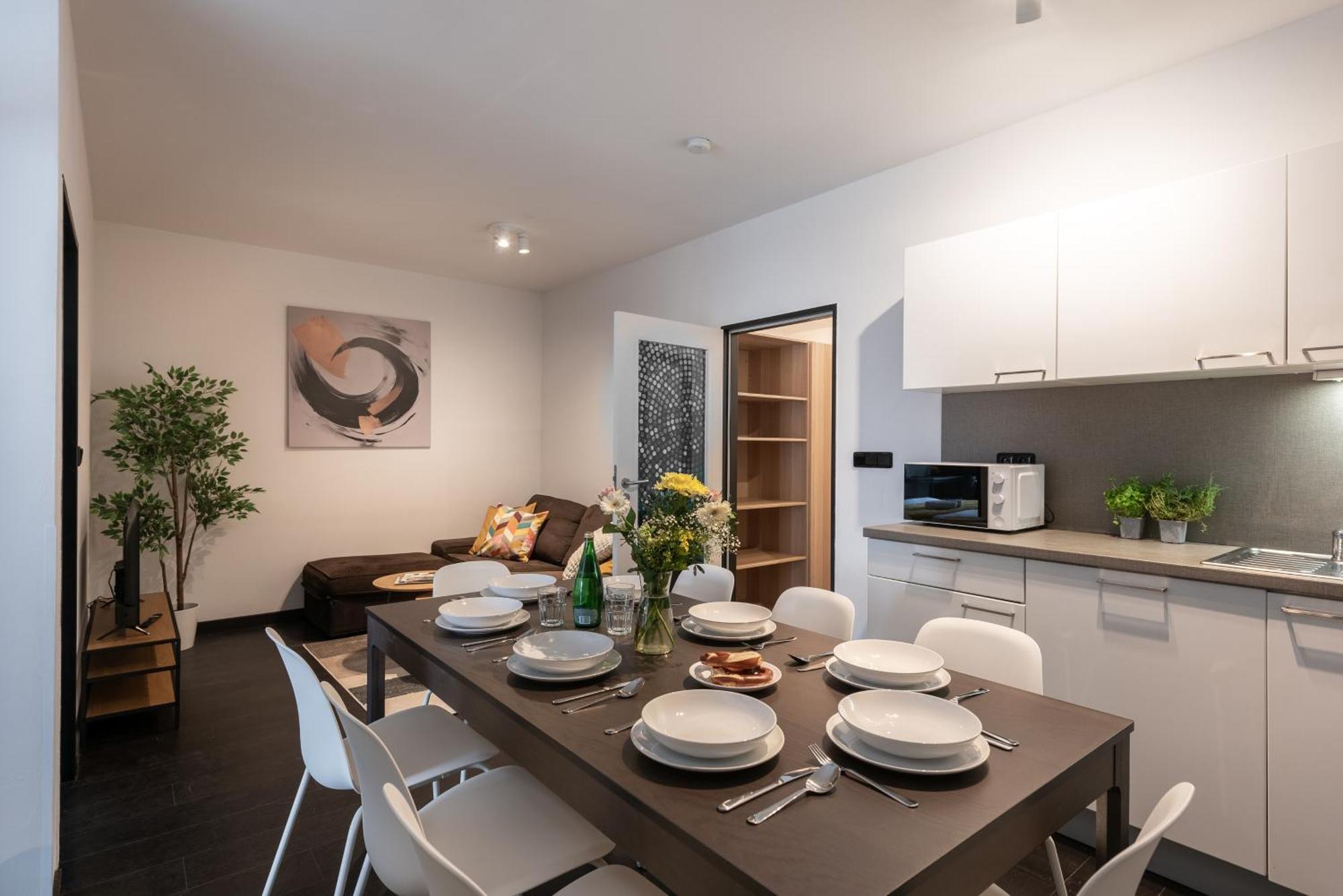 Spacious Near Karlin Square Apartment Prague