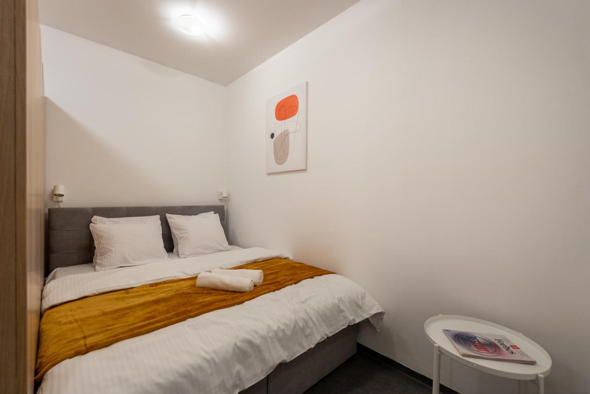 Spacious Near Karlin Square * Prague