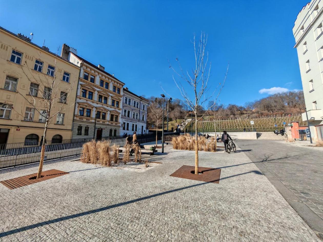 Flat In Zizkov -103- Prague