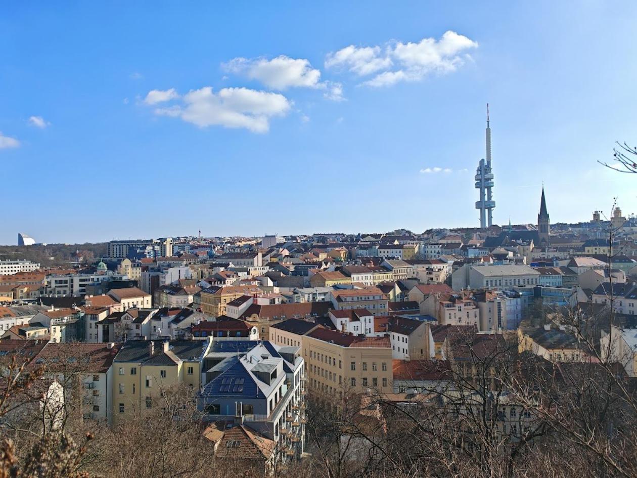 Flat In Zizkov -103- Prague