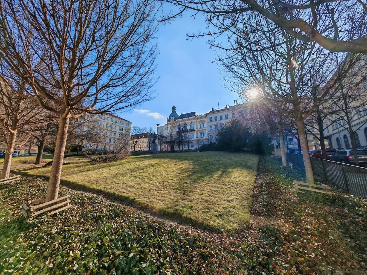 Flat In Zizkov -103- * Prague