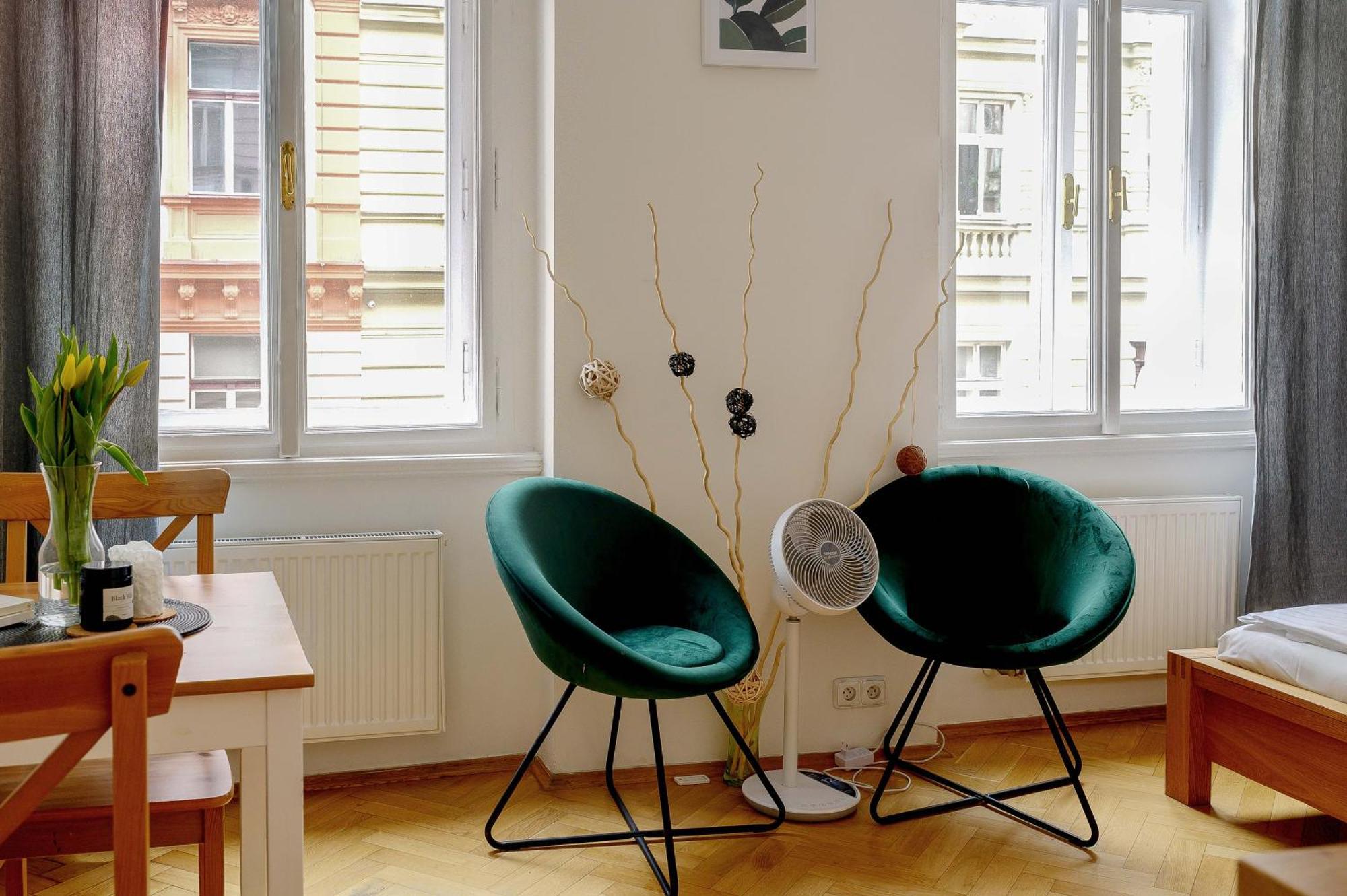 Cosy In Zizkov Daire *