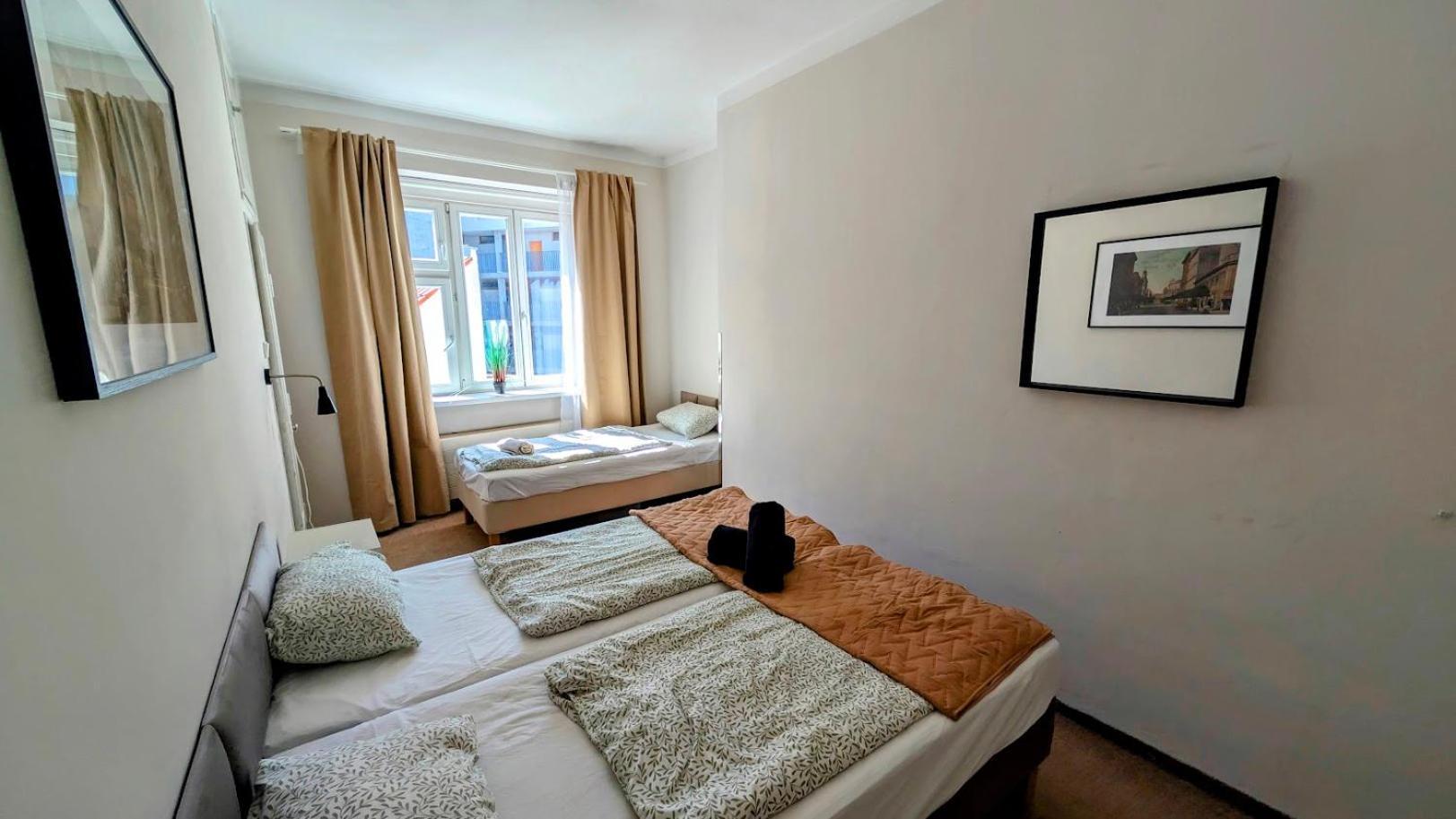 Flat In Zizkov -401- * Prague