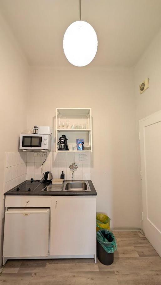 Flat In Zizkov -104- * Prague