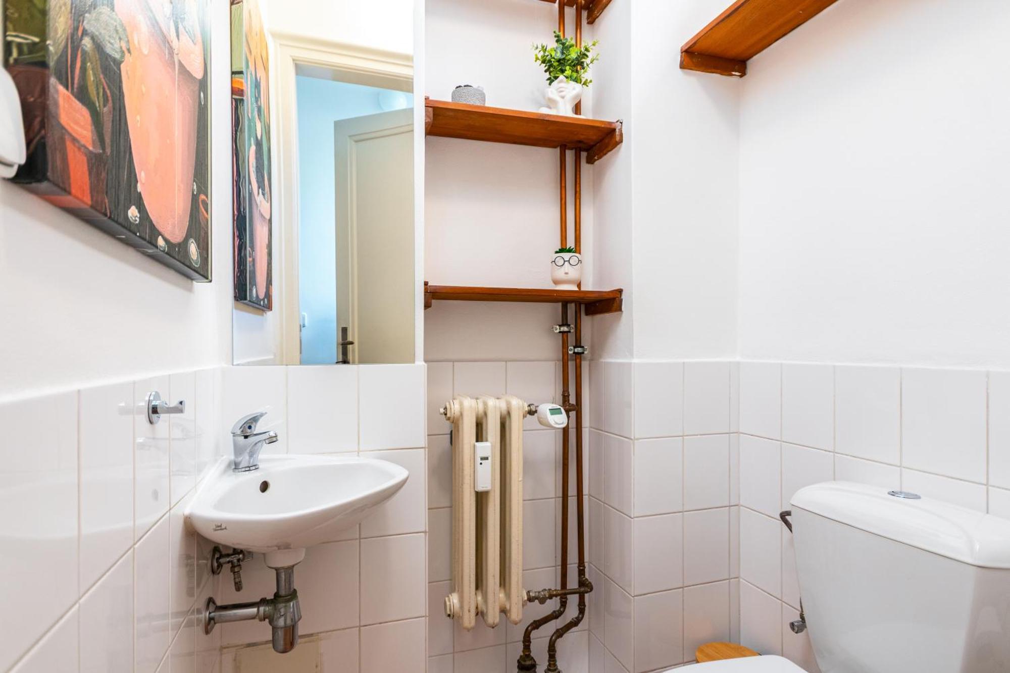 Charles Bridge Historic Centre Elegant Spacious Apartment Prague