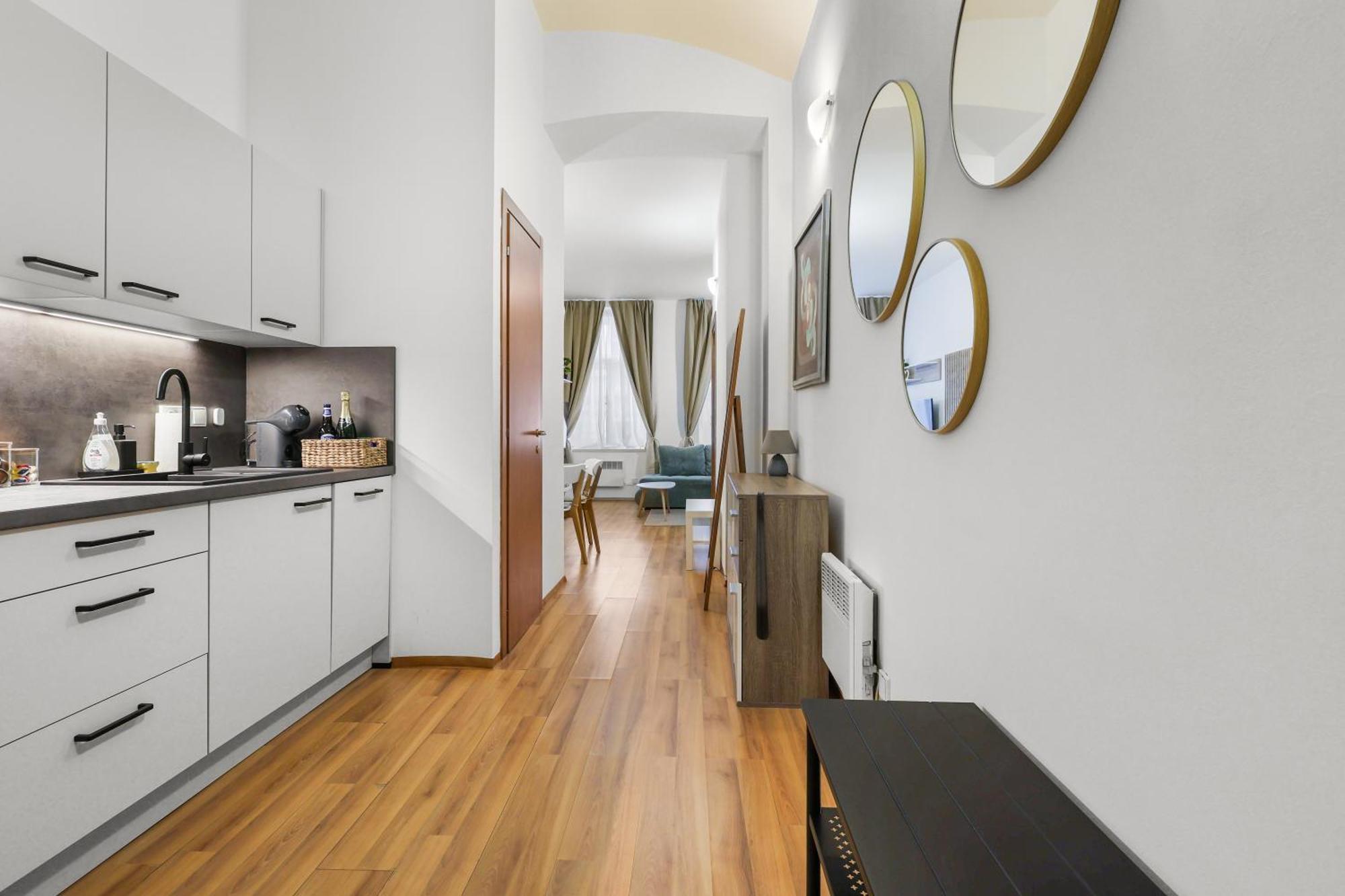 Cozy Near Center - Zizkov Prague