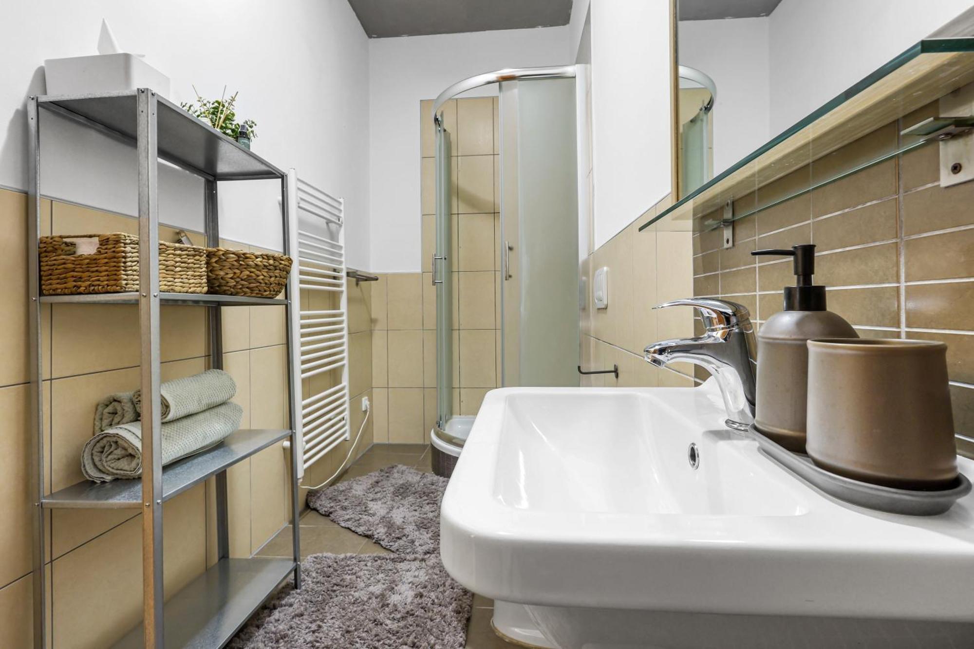 Apartment Cozy Near Center - Zizkov Prague