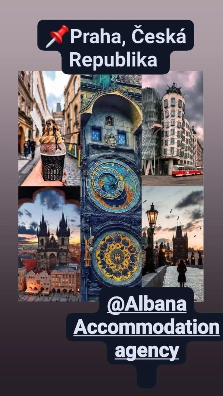 Alba * Prague