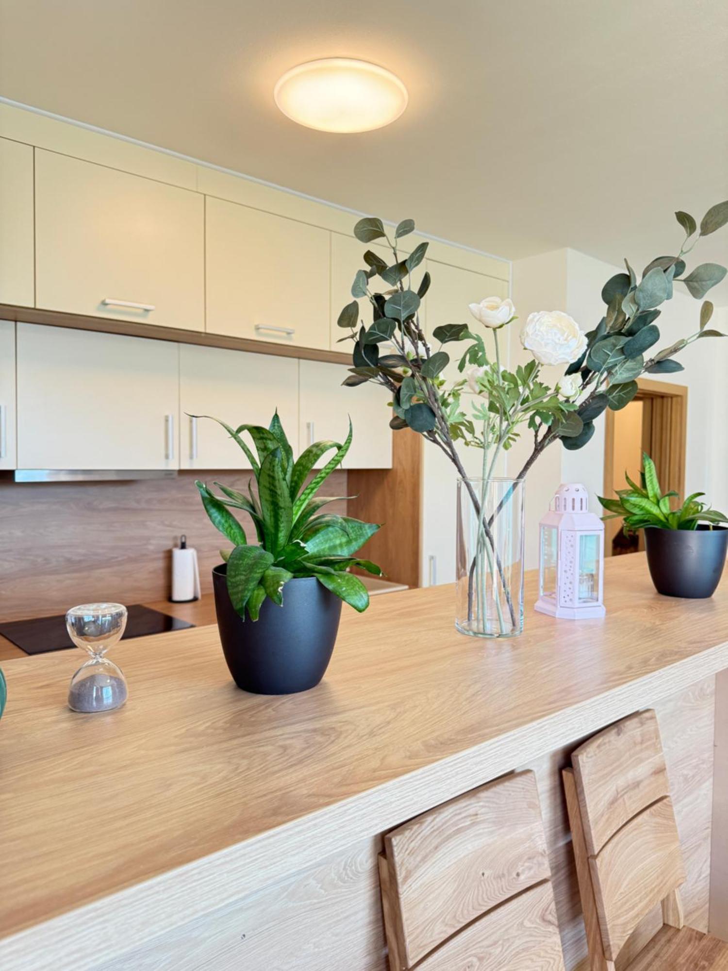Familyvilla, New 4 Luxury Big Apartments, Parking Apartamento Praga