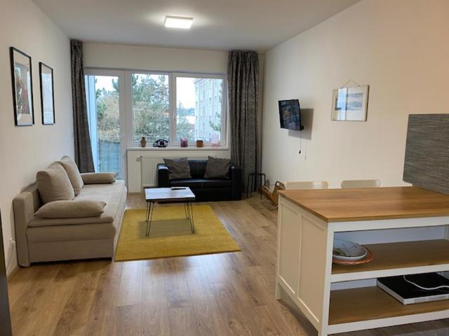 New In Apartment *